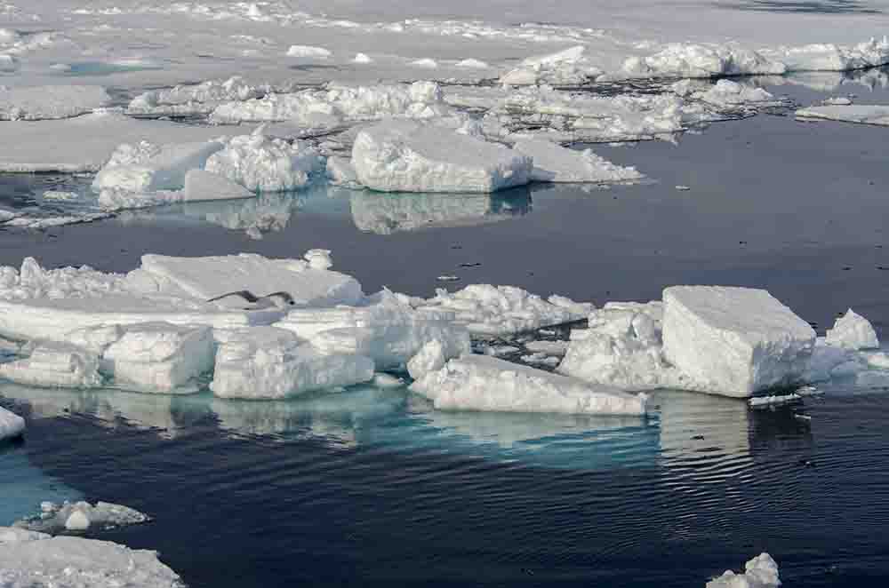 142 - Noruega - islas Svalbard - banquisa artica